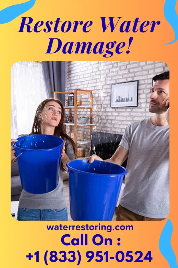 water restoration Advanced Water Cleanup Pros Paris