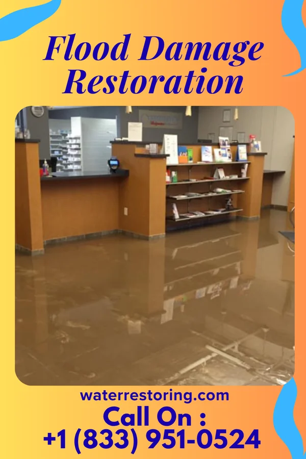 Flood Damage Restoration in Paris, KY