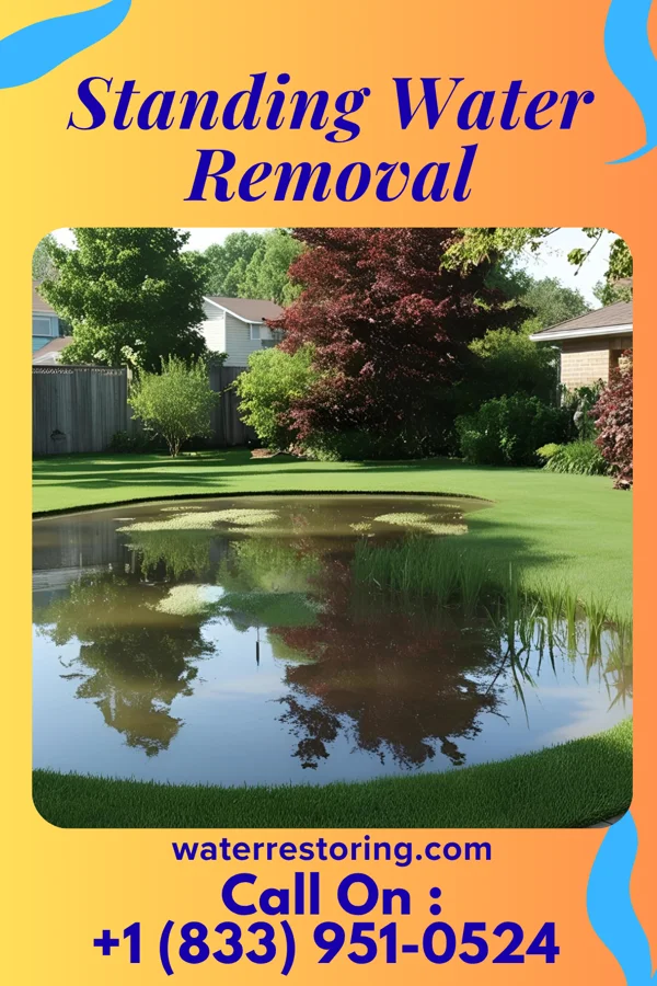 Standing Water Removal in Paris, KY